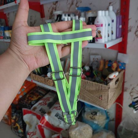 قلاده کتفی سگ شبرنگ 2 سانتی