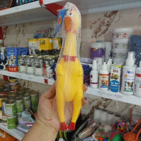 مرغ نالان سایز لارج وارداتی